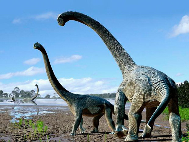 savannasaurus-travis-tischler-aaofdinosaurmuseum