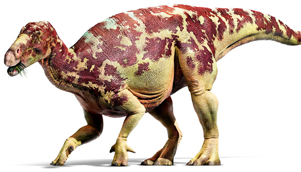 iguanodon-03
