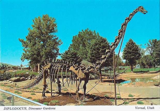 Diplodocus-Vernal-Utah-620px